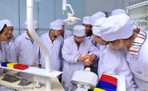 女生想学医,这5个专业工作压力小,就业稳定,收入还高