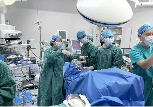 11岁女童为保生育力冷冻卵巢组织,背后故事令人唏嘘