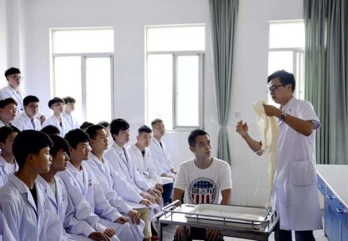 报考985大学,选择计算机专业还是临床医学 听听过来人怎么说