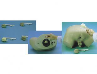 供应前列腺检查模型 医学教学模型 临床训练模型_办公、文教_世界工厂网中国产品信息库