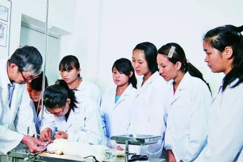 医学检验初级师报考条件