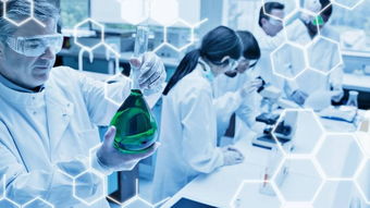 复旦大学研究揭示 胃癌微环境中现抗肿瘤细胞“帮手”