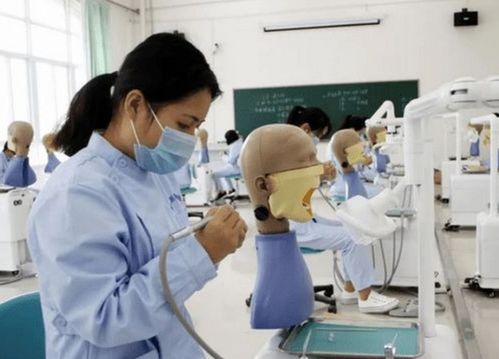 伪医学专业 华丽外表下的职场困境