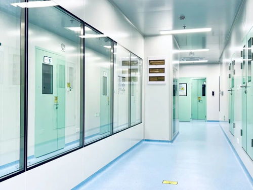 跑出 嘉 速度 发力大健康,打造国内领先的精准医疗产业集聚区