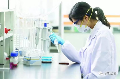 专业解读 生物医学工程类