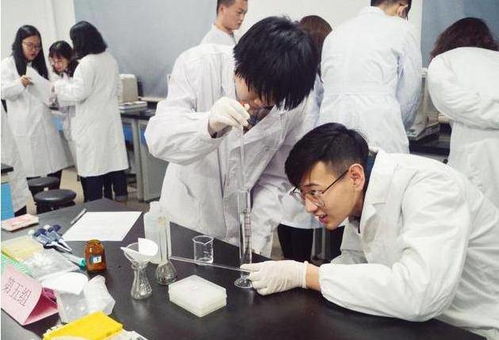 编外与编内同酬，医学岗位迎春，多地政策已落地