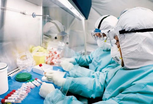 病毒的“前世今生” 从隐匿威胁到医学认知的漫长旅程